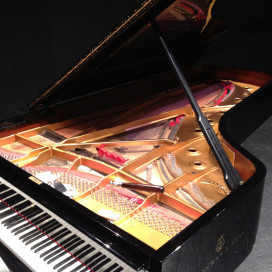 Lavoro di restauro pianoforte gran coda Steinway & Sons Teatro Miela TS